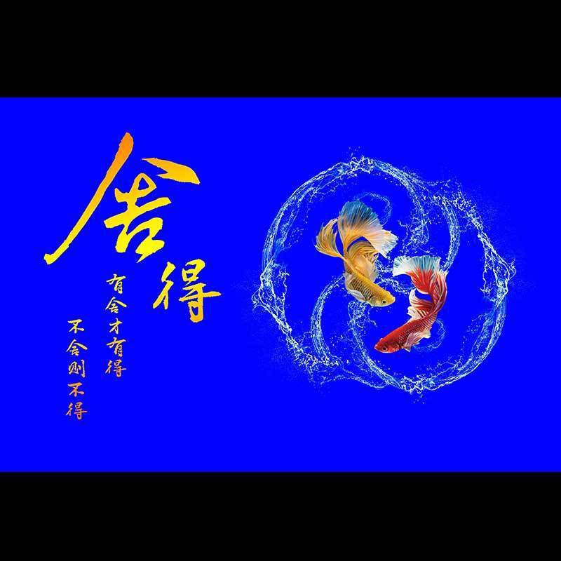 个性鱼缸背景壁纸舍得高清贴纸风生水起水族箱造景立体画自粘防水