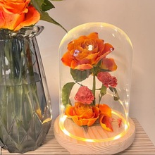 ALI6干花保存瓶玻璃罩玫瑰鲜花密封罐积木手办防尘透明展示盒摆件