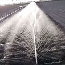 农田浇地灌溉神器新型农用浇地灌溉水带滴灌带种菜菜园浇水管大全