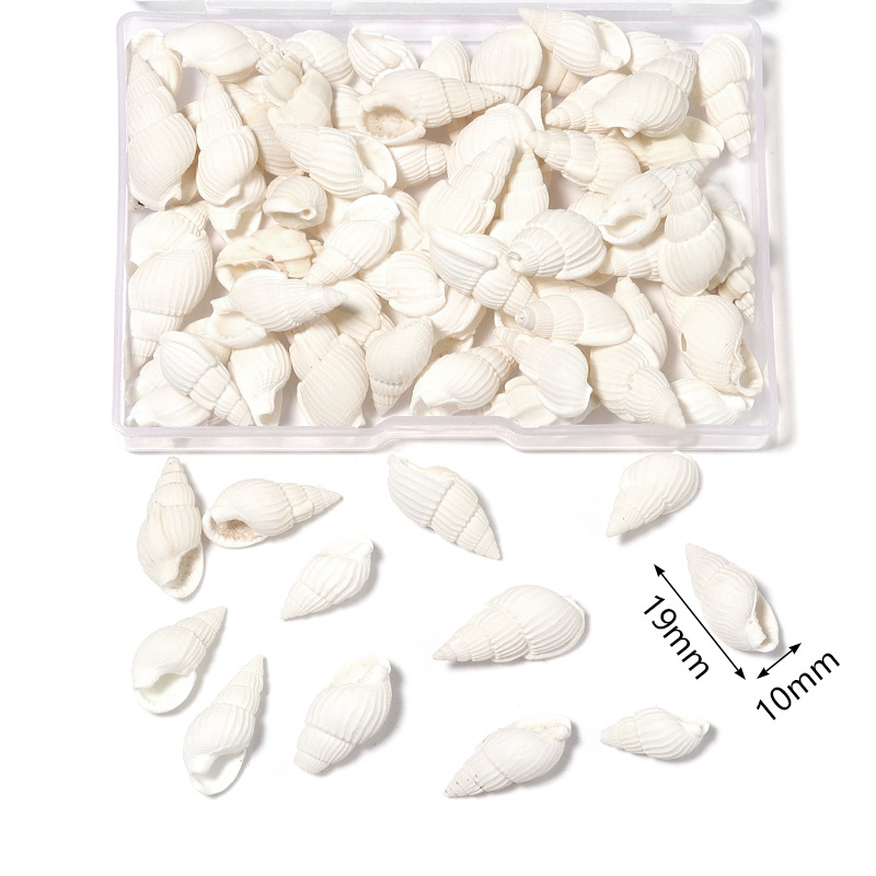 Natural Conch and Shell Boxed Non-Hole Babylonia Areolata Snow Shell Box Material Package DIY Ornament Set Props
