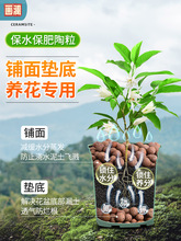 陶粒垫底养花专用家庭园艺介质营养土火山石多肉植物花盆鱼缸铺面