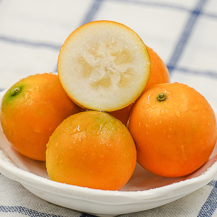 广西桂林滑皮金桔 脆皮小金桔 当季脆皮金桔桂林阳朔金桔一件代发