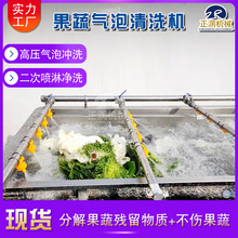 供应紫扁豆清洗机 食品厂气泡清洗设备 全自动苦叶生菜清洗机