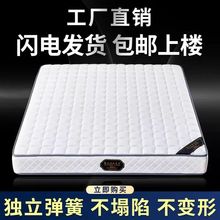 弹簧床垫家用软垫1.8m硬垫加厚两用乳胶20CM厚独立站代发一件代发