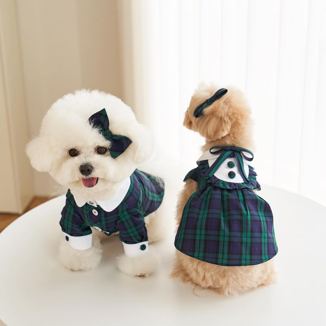 促销宠物衣服春夏新款狗狗服装棉质弹力泰迪小狗四脚衣服厂家批发宠物