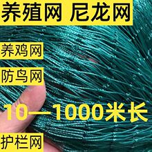 围栏养鸡网尼龙网菜园围栏网鸡网塑料网家禽养殖网拦鸡网户外拦网