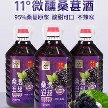 5斤原汁大桶装微醺低度桑葚酒自酿 桑葚发酵酒11度红酒桑葚酒