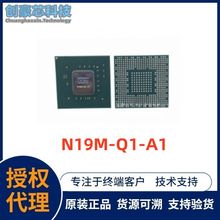 N19M-Q1-A1 电子元器件一站式配单 全新原装 集成电路ic 最新批次