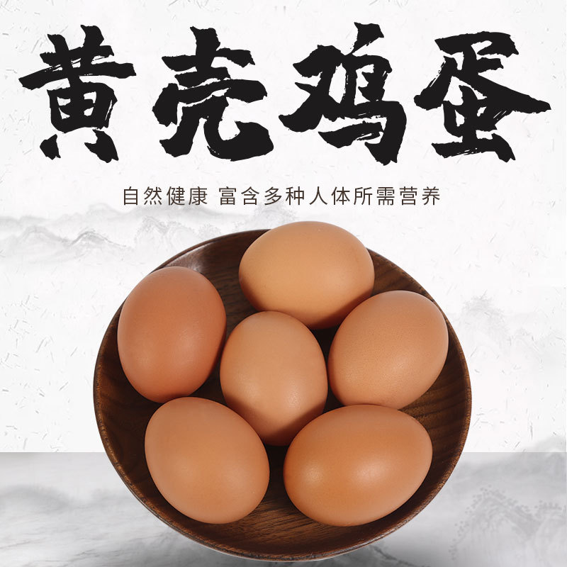 新鲜黄壳鸡蛋 自有农场黄壳蛋 品质承诺从源头开始
