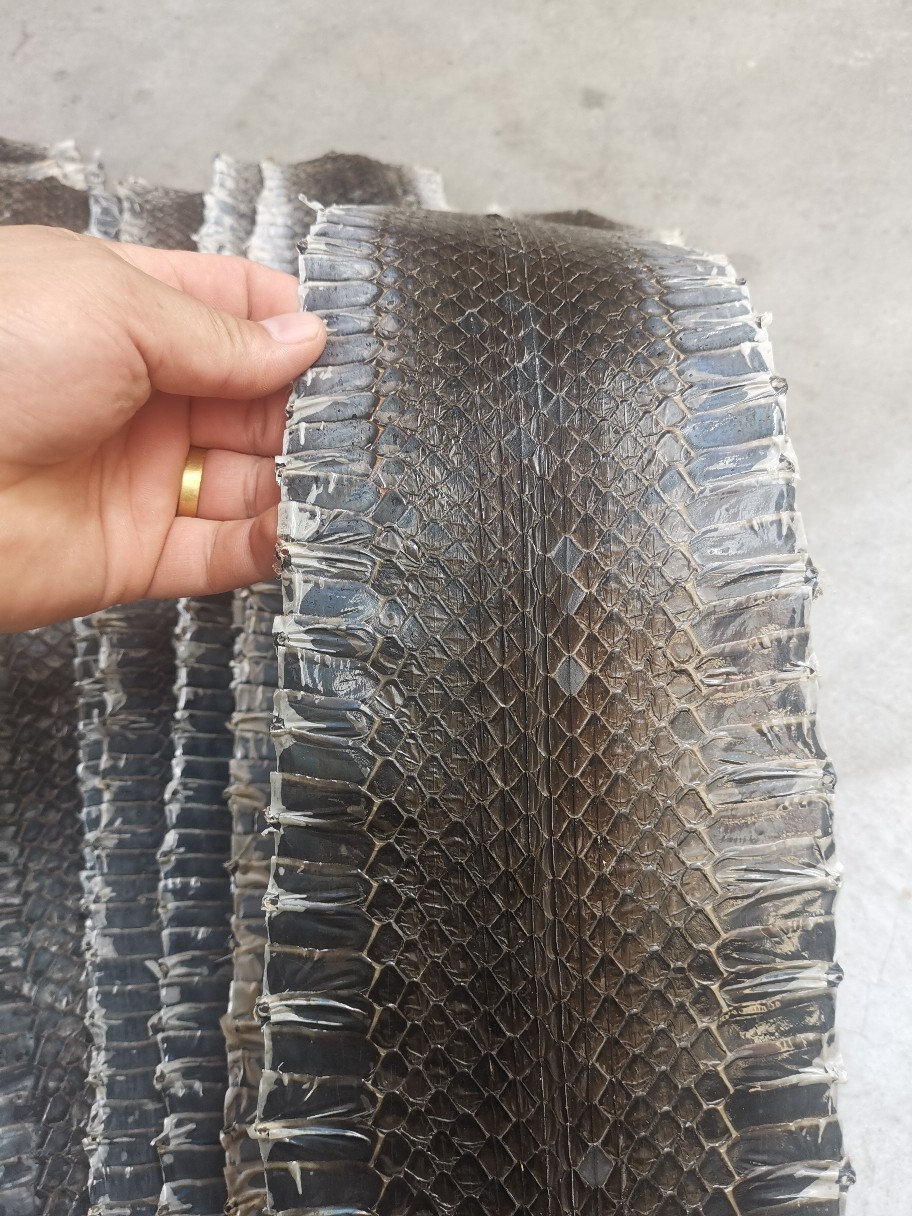 乌蛸蛇皮现货批发京胡配件 越胡蛇皮 多种规格可选曲胡蛇皮