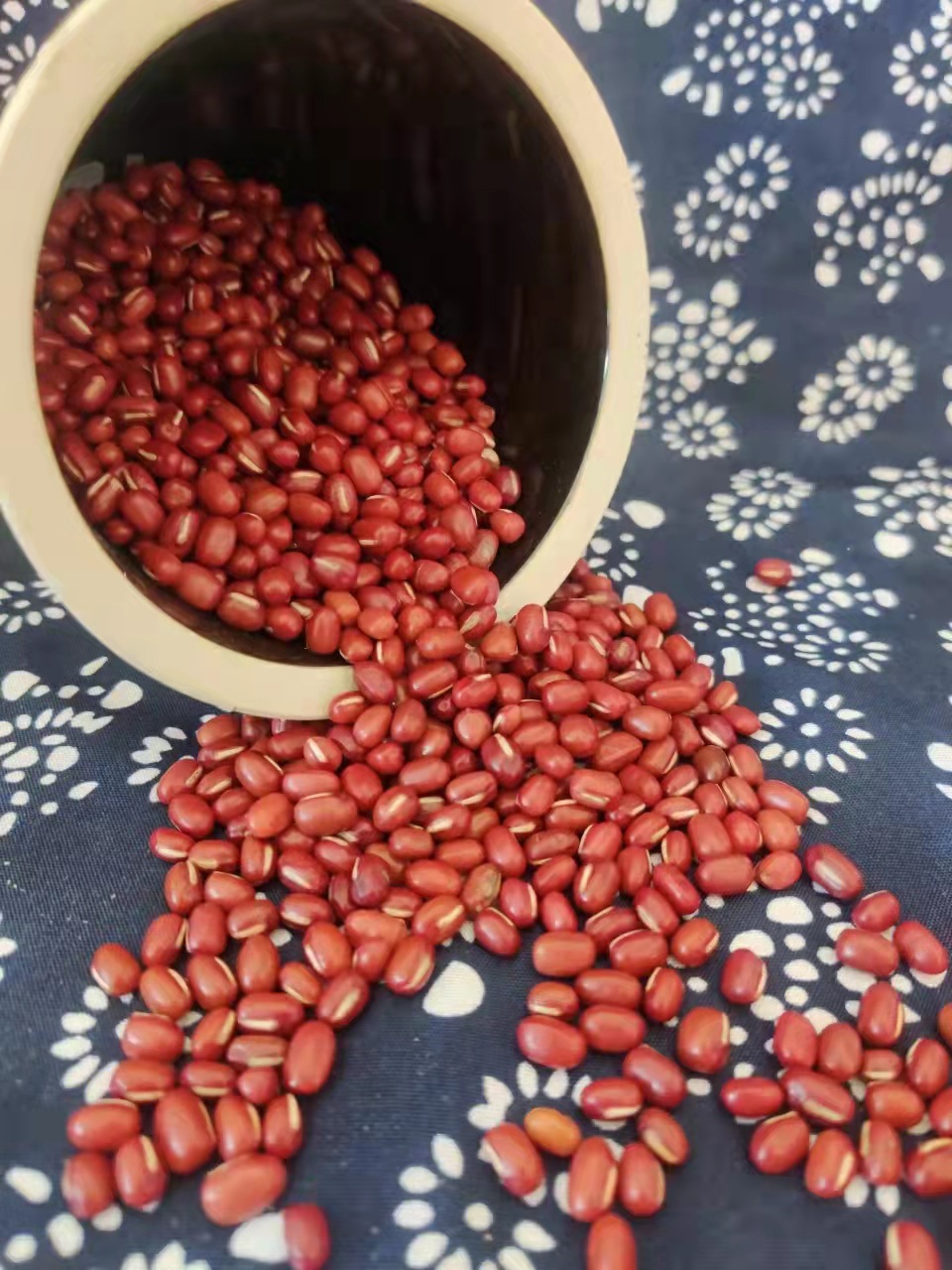东北产红小豆抛光色选的做各种食品