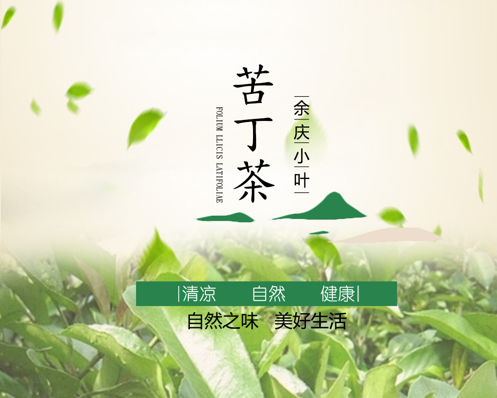 苦丁茶贵州特产余庆小叶苦丁茶河江牌袋泡200g新茶