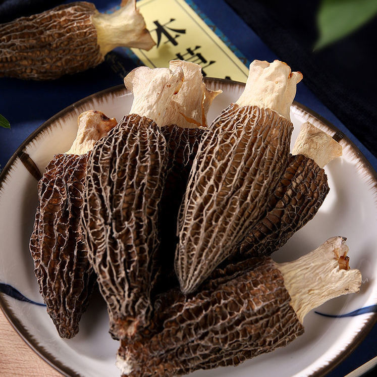 云南山珍羊肚菌干货精品特级特产羊肚菌一斤批发营养菌菇羊肚蘑菇