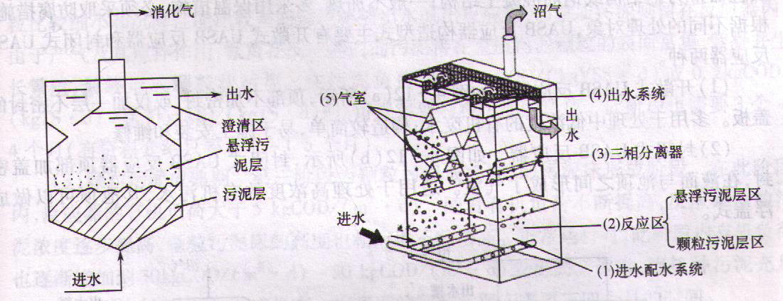 污水由进水配水系统从反应器底部进入,通过反应区经气,固,液三相分离