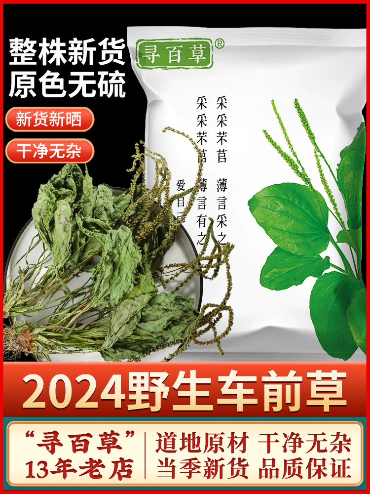 寻百草车前草中药材野生车前草猫爪草泡茶新鲜干货整株车轮草500g