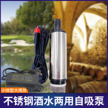 电动小型抽水泵12V220V家用吸酒器潜水泵自吸抽酒泵棒磅油不锈钢