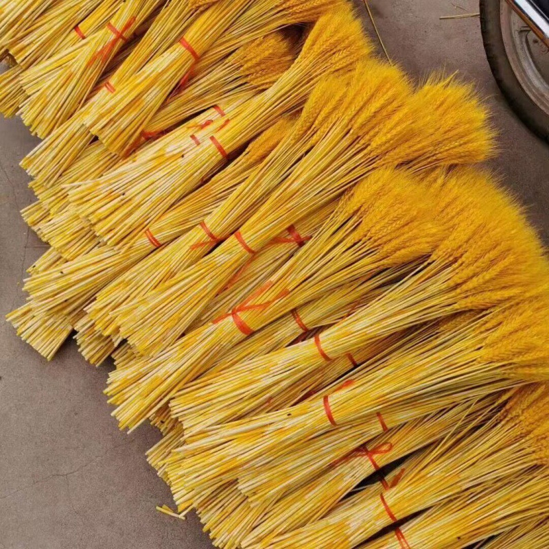 开业麦穗干花大麦穗麦子"大卖干枝丰收拍电影道具花真小麦小红书