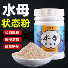 母状态粉蜘蛛丝网状粘粉钓鱼专用拉丝粉水拉饵鲫鱼饵料野钓秋冬强