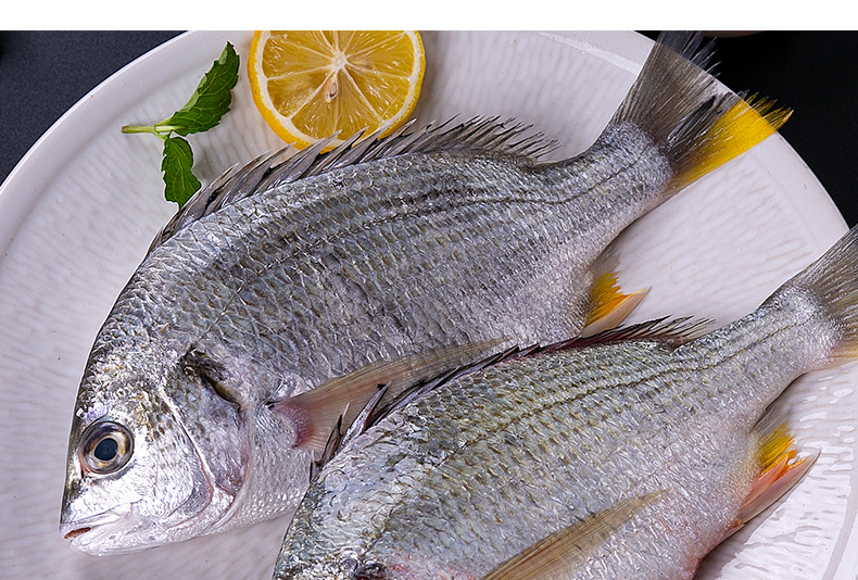 海鲜黄翅鱼 黄鳍鲷 赤翅深鲷鱼 黄脚立 海鱼 500克