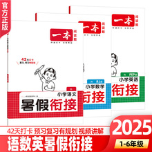 2025一本小学暑假衔接升年级暑假作业预复习人教版衔接教材每日练