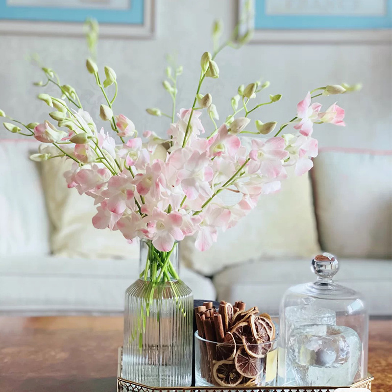 泰国千代兰鲜花粉色洋兰花家庭办公室家用水养瓶插花鲜切花情人节