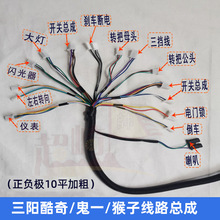 电摩线束小龟王电动车线路总成主线战速三轮车整全车线大线猴子