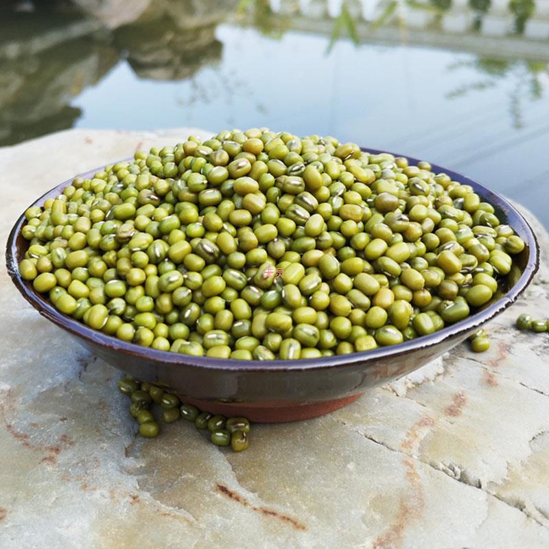 恩施富硒绿豆 农家自产绿豆 硒方生态优质小笨绿豆 可发绿豆芽