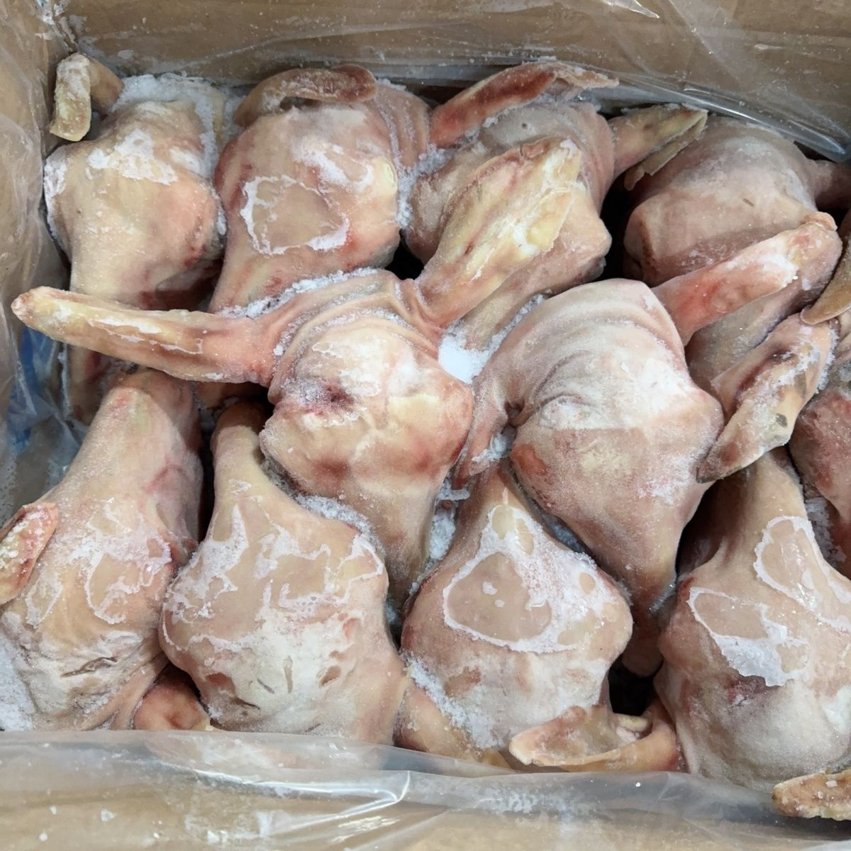 带皮整羊头 带骨羊头 酒店羊肉馆食材40斤装3斤左右/个-阿里巴巴