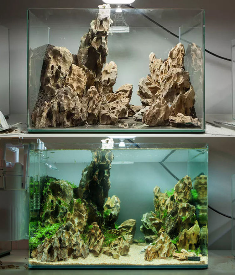 松皮石造景石头鱼缸天然装饰小块多孔假山水草缸成品骨架峡谷套餐