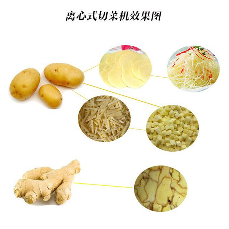 饭店切菜机图片 不锈钢白菜切菜机 小型剁菜机尺寸