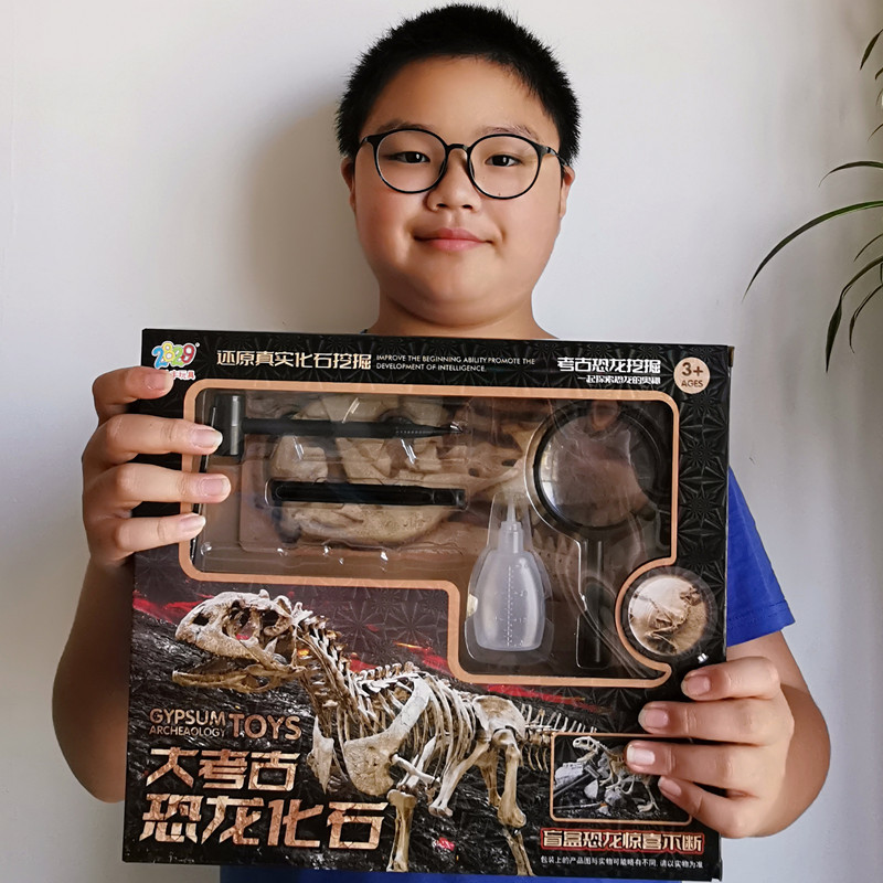 批发大考古玩具恐龙化石挖掘盲盒益智早教探索科教模型小学生礼品