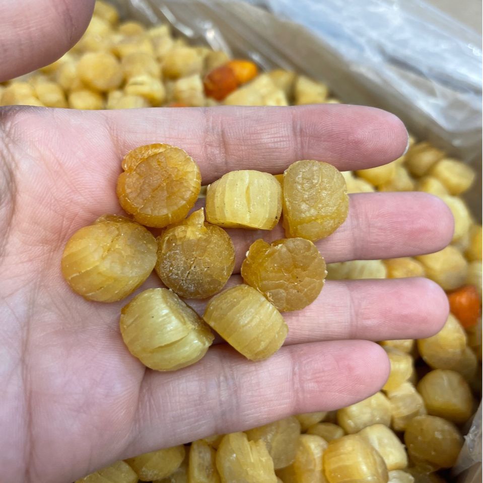 大连元贝扇贝肉大干贝瑶柱渔民自晒淡口海味大量批发一件代发
