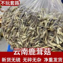 鹿茸菇干货500g包邮煲汤食材食用菌菇野蘑菇香菇批发一件代发