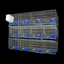 兔子笼子养殖12位子母9位种兔24位商品兔笼舍加粗加密特大号兔笼