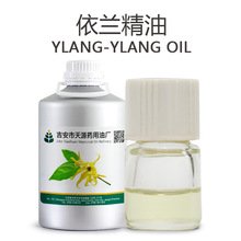 依兰精油 蒸馏提取依兰花油 Ylang-ylang Oil 花香类植物精油香料