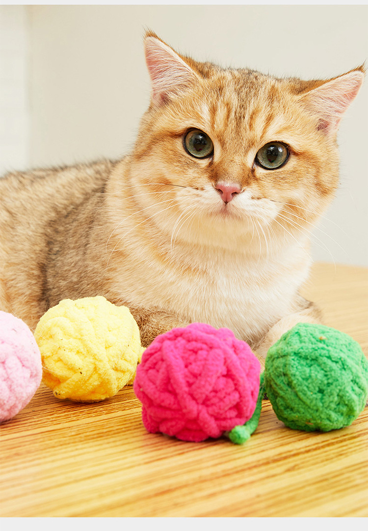 两只福狸 猫玩具球猫薄荷球绒球毛线球鸟铃铛球发生小老鼠
