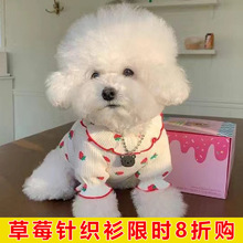 狗狗衣服夏季薄款草莓针织衫泰迪比熊博美小型犬防晒猫咪宠物防脏