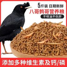 八哥饲料鸟饲料鹩哥鸟食海八黑八专用鸟粮八哥粮四喜乌冬鸟料厂家