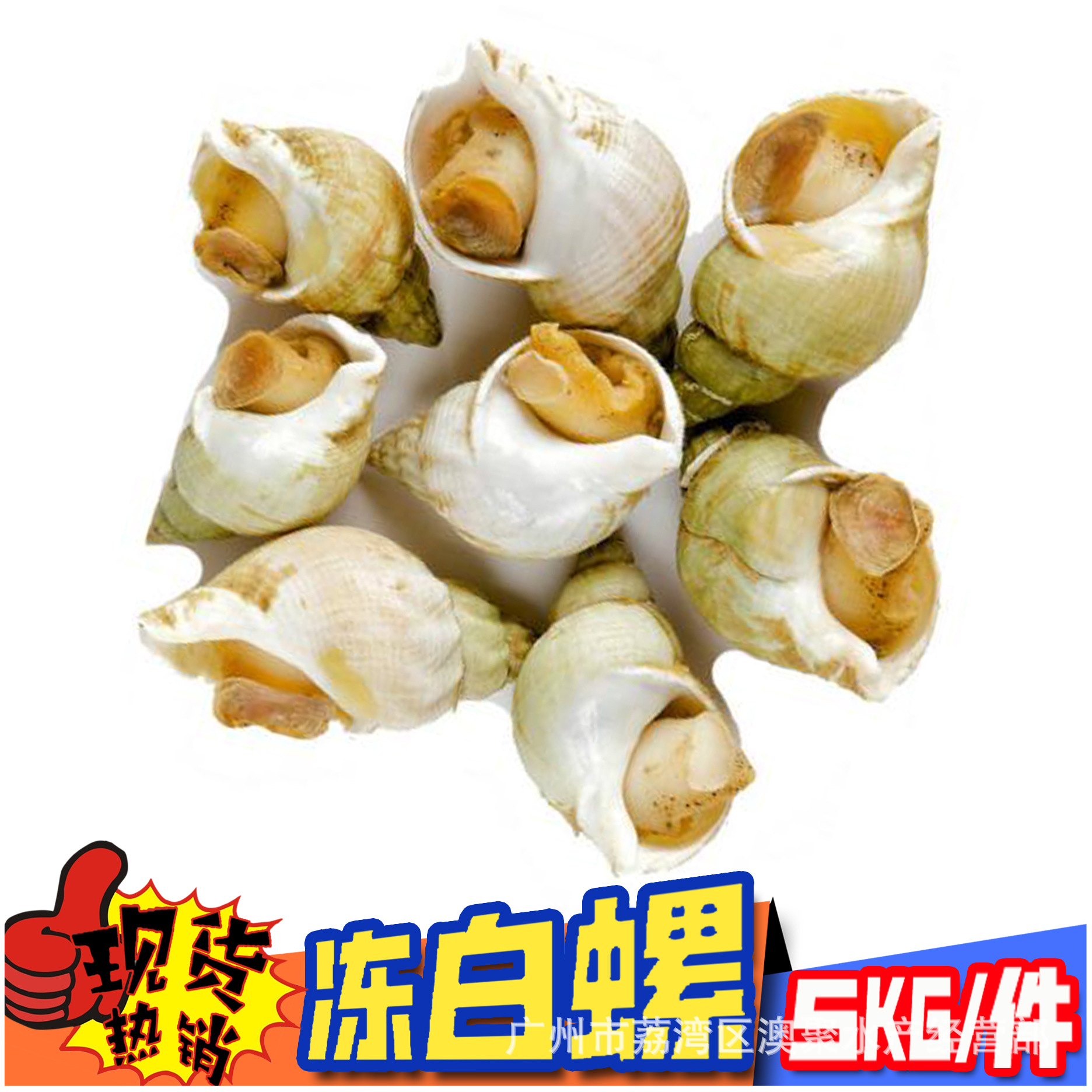 海鲜 冻品 海螺白螺 英国 餐厅酒楼食材批发 白灼爆炒 5kg/件