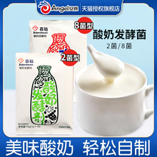 安琪酸奶发酵菌家用经典益生菌乳酸菌菌粉小包装酸奶机自制酸