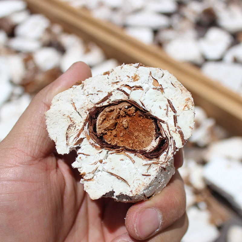 云南哀牢山地道药材姚州茯苓 茯神块 茯神木 云神 茯神片500克