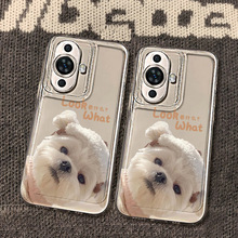 华为1288h v5 6242rcpu 6x32g 3x900g10k raid5 1g 2x750w包邮