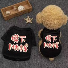 宠物衣服卫衣狗狗背心小型犬春秋冬夏季薄款比熊泰迪用品幼犬猫咪