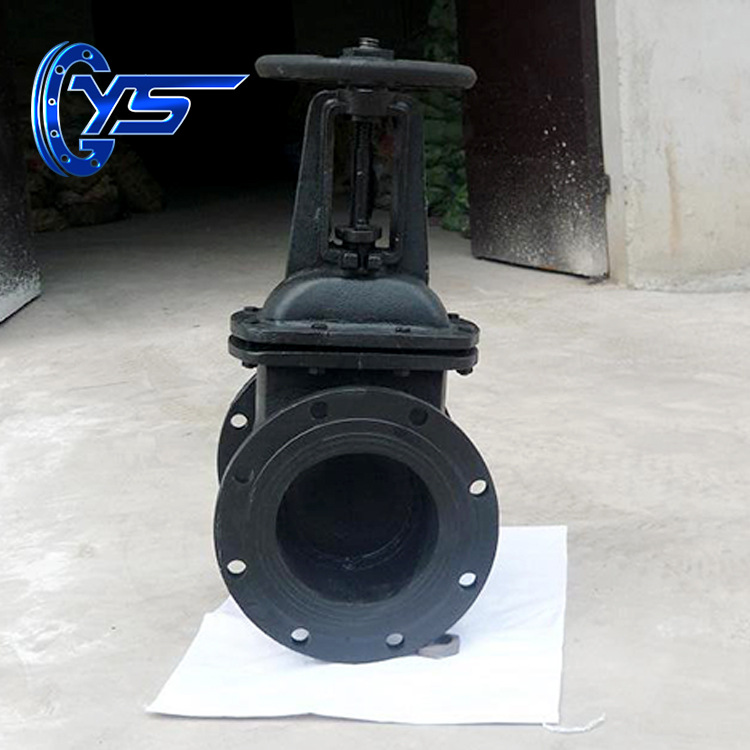 俄标铸铁法兰双闸板闸阀z44t