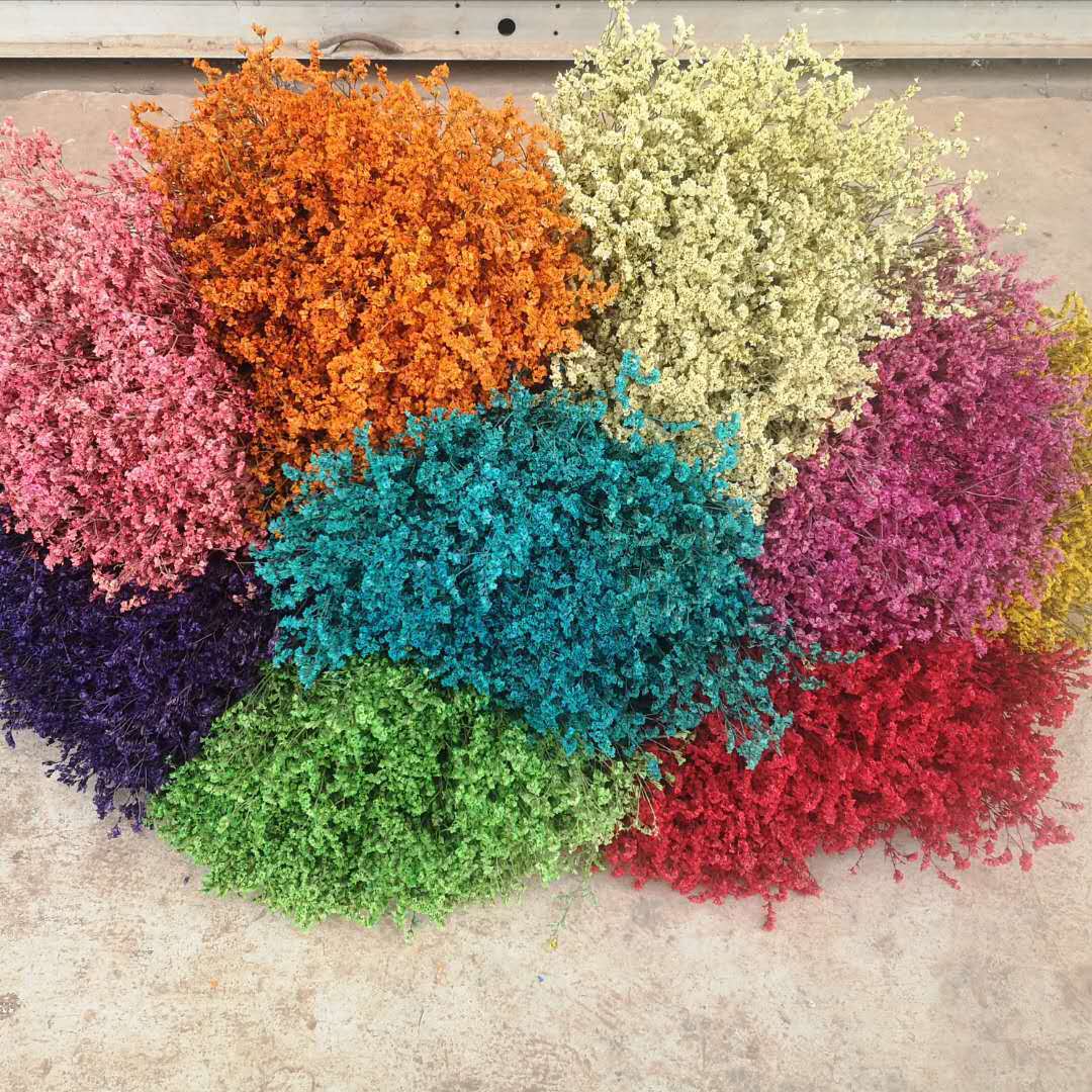 云南干花【水晶草】束套装风干花永生花 装饰花干花 水晶花