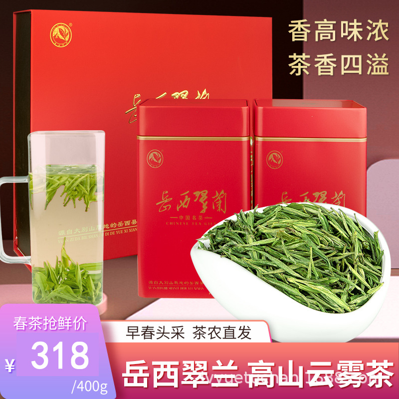 2024新茶上市安徽岳西翠兰明前一级高档绿茶400g礼盒装茶叶正品