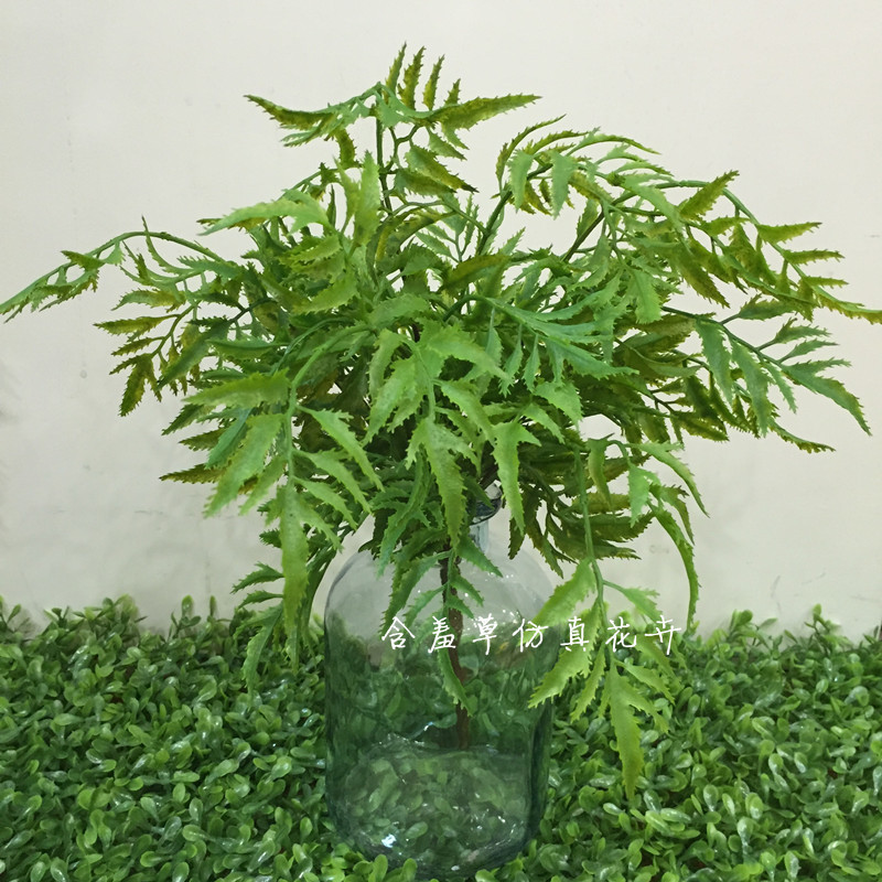 仿真海金沙热带蕨类植物散尾蕨叶把束植物墙装饰工程配材家居蕨草
