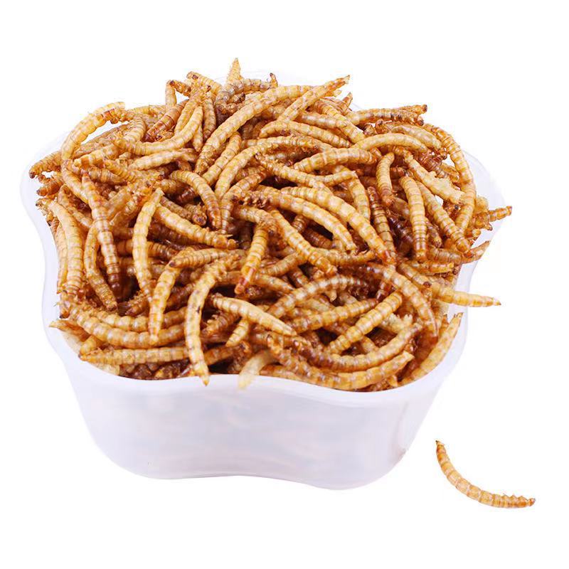 迷你刺猬烘干小零食蜜袋鼯仓鼠柯尔鸭金丝熊面包虫干大麦虫黑水虻