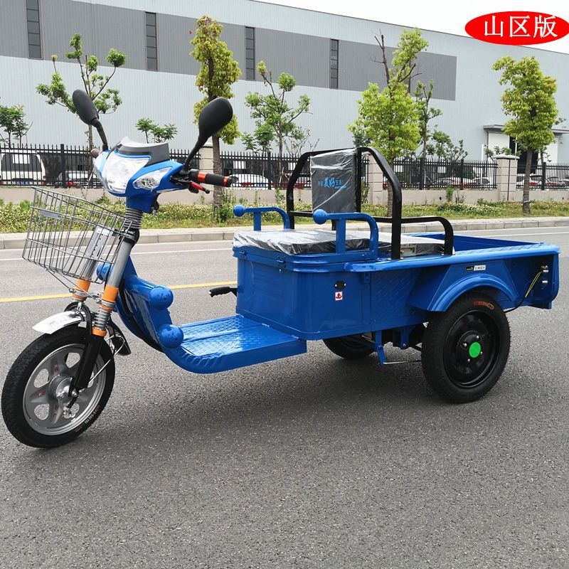 电动三轮车货车新款家用电瓶三轮车成人代步车载重小货运平板车