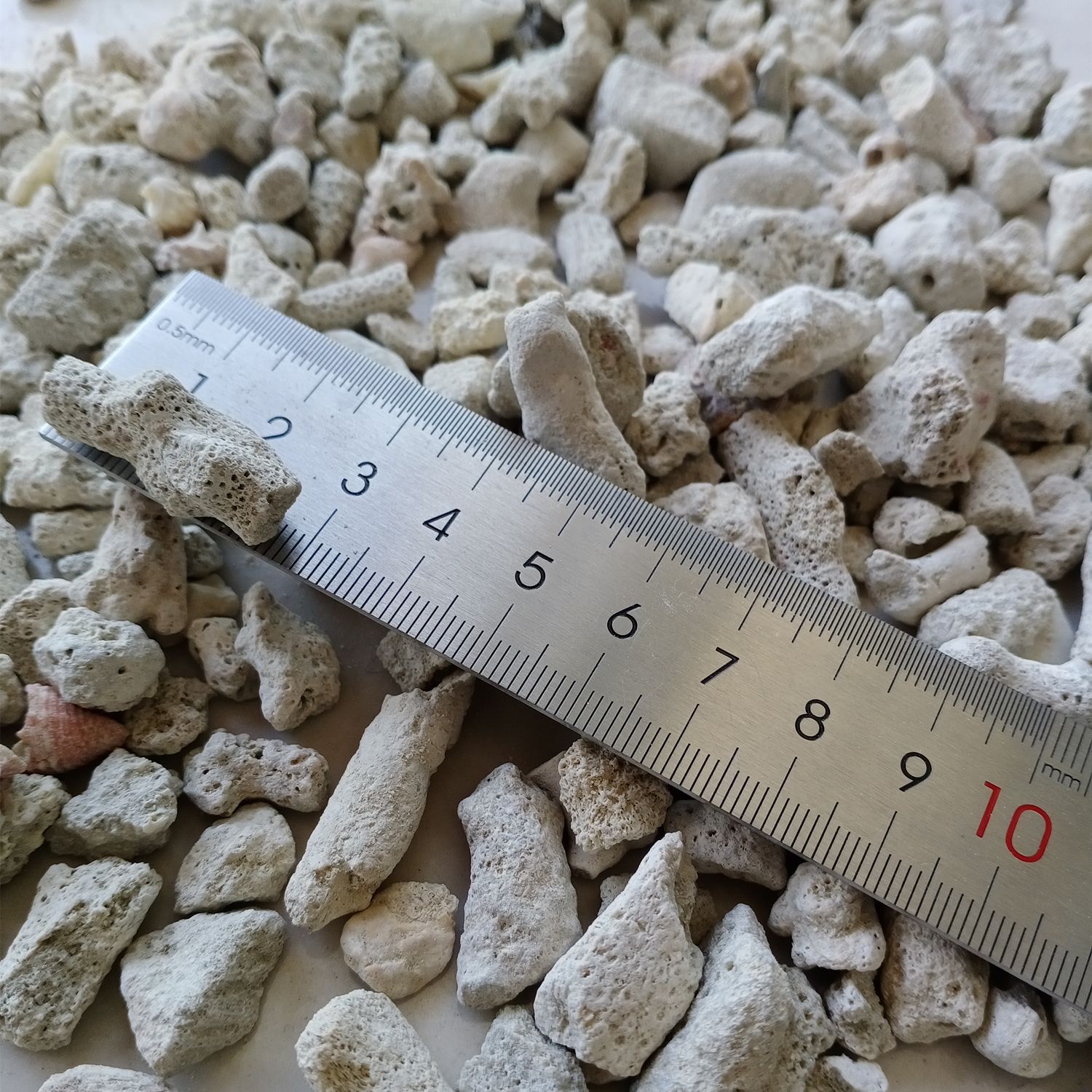 厂家直供珊瑚砂过滤珊瑚石水族鱼缸滤材珊瑚骨 水处理用珊瑚砂